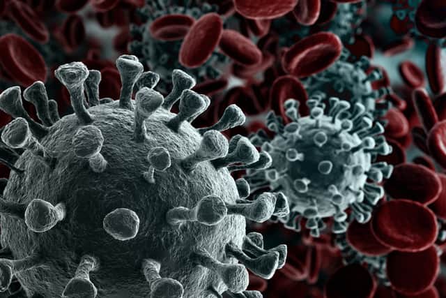10 coronavirus variants are currently being monitored by scientists in the UK (Photo: Shutterstock)