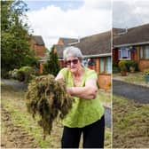 Anne Harris with a nightmare pile of grass (Photo: Leila Coker)