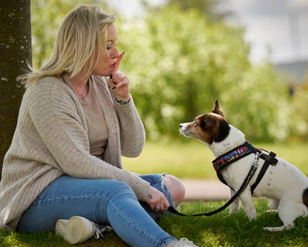 Top 10 scariest and friendliest dog breeds revealed 