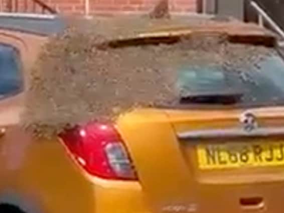 A three-day-old car was swarmed by thousands of bees, leaving its owner stunned. (SWNS)