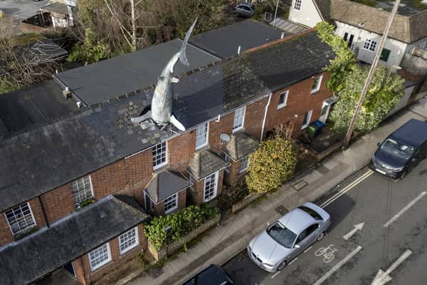 The owner of a world-famous house with a 25ft shark sticking out of the roof has been banned from renting it out on Airbnb Picture: Tom Wren / SWNS