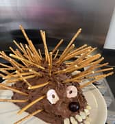 An attempt at baking a cake.