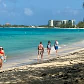 UK holidaymakers have been issued a travel warning for the Caribbean, parts of Africa, Central and South America as yellow fever is on the rise. (Photo: AFP via Getty Images)