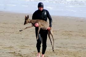 A paddleboarder carries a deer out of the water at Cleethorpes, northeast Lincs. 