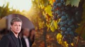 Celebrity vineyards that you can visit around the world - from Brad Pitt to Sting (Photo: Adobe Stock / Getty Images)
