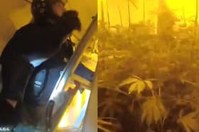 Man hurls soil at police as they find cannabis farm in raid.