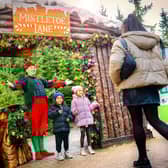 Alton Towers is turned into a Christmas wonderland at this time of year