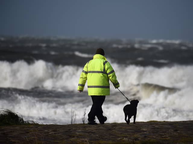 Storms can be a distressing time for our pets.