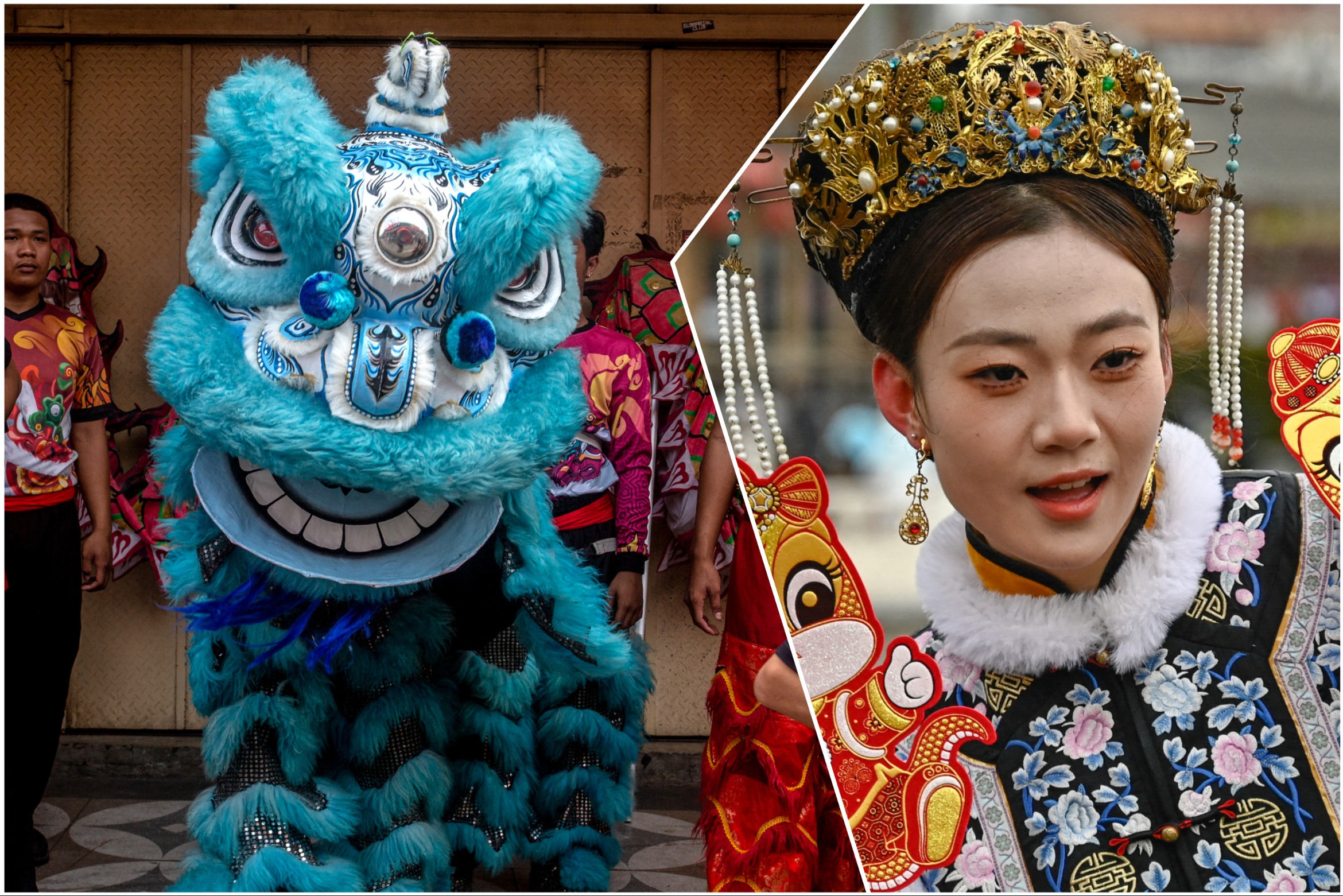 what does fu mean in chinese new year