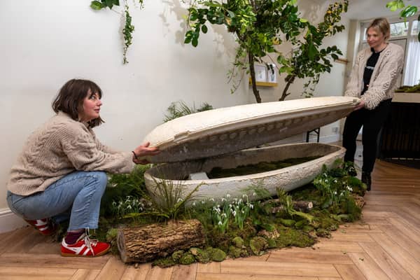 London funeral firm creates the world's first living coffins made from mushrooms 