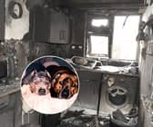 Couple and their dogs killed in horrifying e-bike battery fire at home