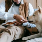 Some ingredients we use for pancakes can be dangerous to dogs.