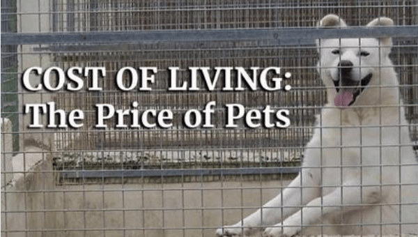 Price of Pets thumbnail image