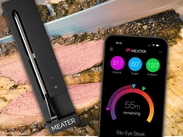 The MEATER SE wireless meat probe