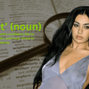 From 'brat' to 'bichota,' these words used by pop superstars have now become part of everyday conversation - or soon will be.