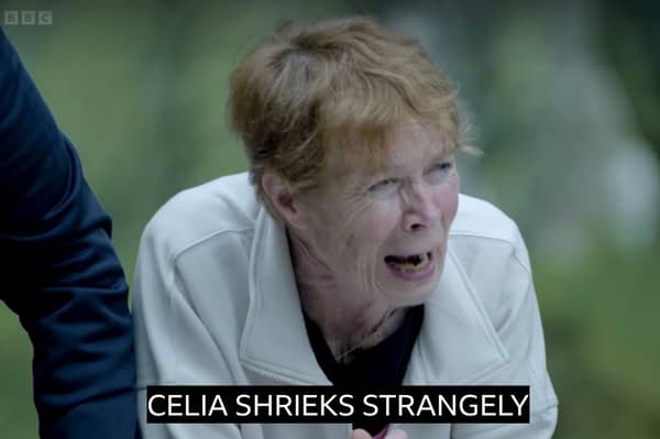 “Celia Imrie screeching into a well is absolutely 10/10 Television”
