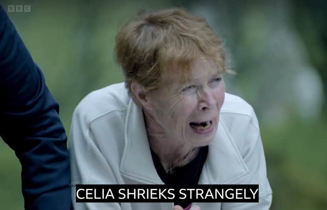 “Celia Imrie screeching into a well is absolutely 10/10 Television”