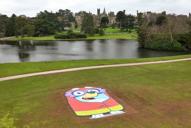 The giant portrait uses 11,494 tins of beans