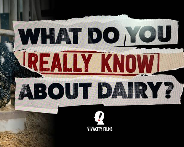 Viva!'s new documentary will be the UK's first to challenge decades of 'dairy industry spin'