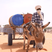 Donkeys like Lagdaf haul 400 litres of water to provide water for their community