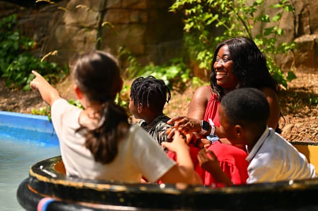 Sundown Adventureland