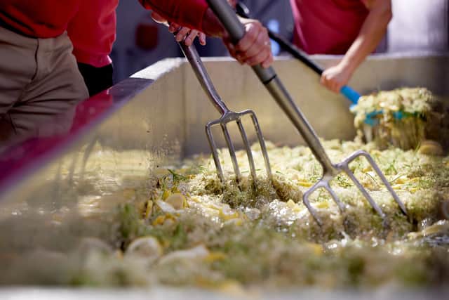 Elderflowers being steeped to make cordial