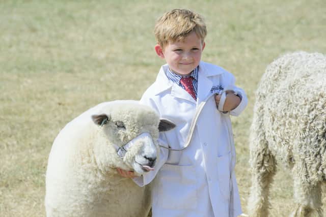 Lincolnshire Show