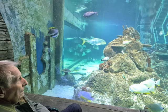 Norman was mesmerized by the fish