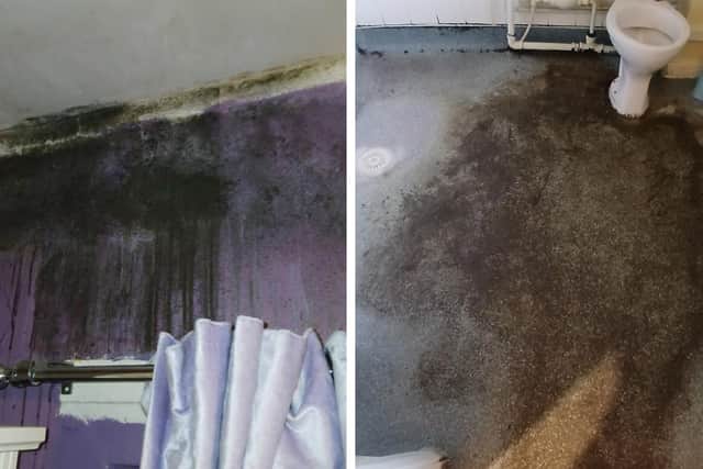 Photos from a home where Groundwork Five Counties recently found extensive black mould