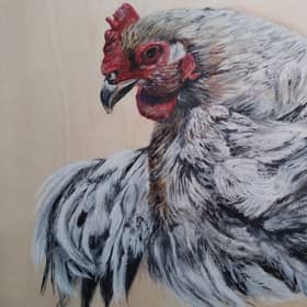 Further objections to intensive poultry farm plan.