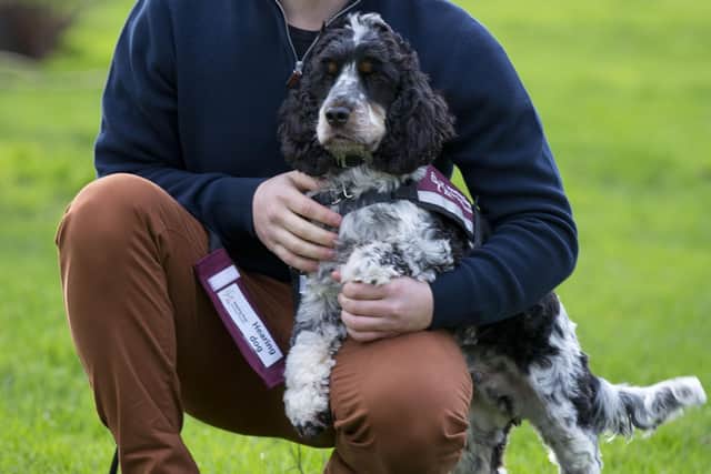 Hearing dog Jovi and his owner Graham Sage, from Oxfordshire. Picture: The Kennel Club and Flick Digital.