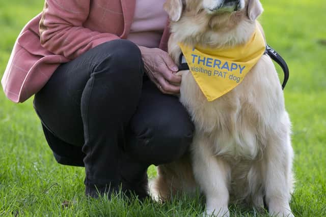 Therapy dog Leo and his handler Lyndsey Uglow. Picture: The Kennel Club and Flick Digital.
