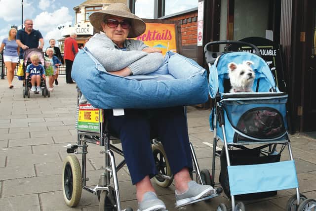 Dog's eye view. Chris Porsz caught this dog in Skegness going for a ride.