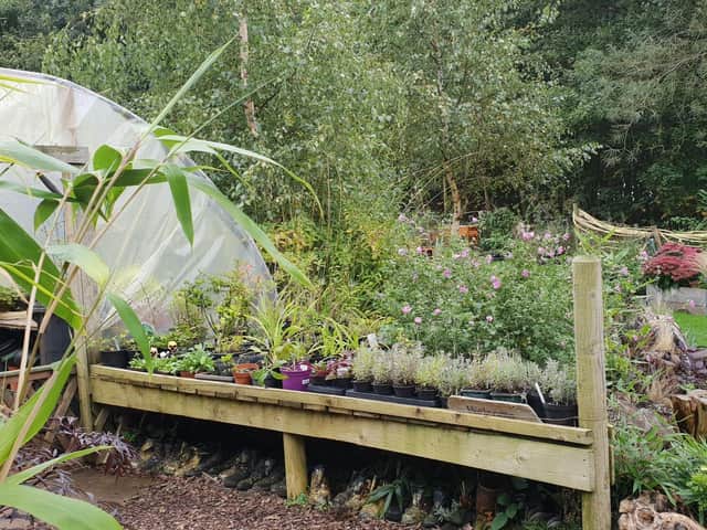 Opportunities are growing at the Eco Centre in Skegness.