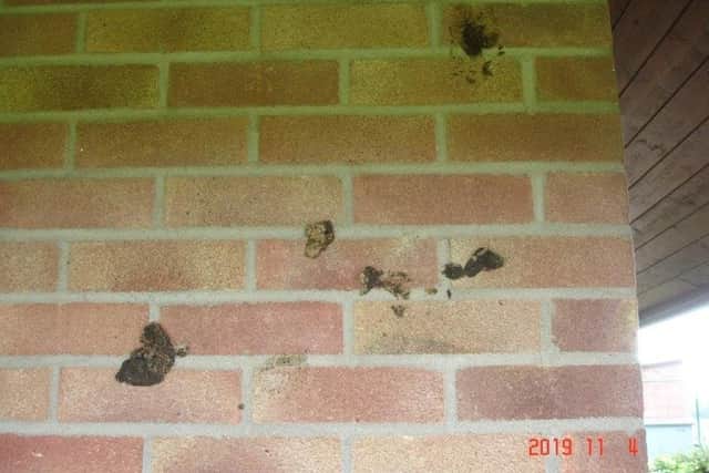 Dog mess smeared on one of the pavillion walls.