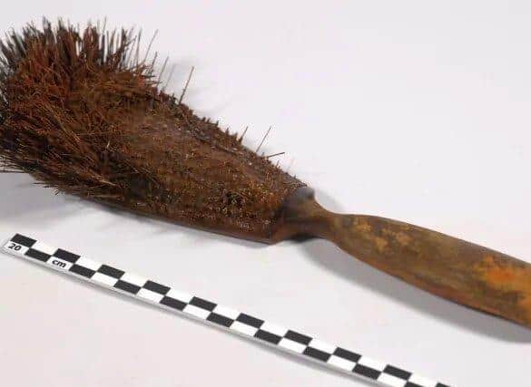 Human hairs caught in the bristles of a hairbrush.