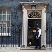 Larry the Downing Street cat outside the door of 10 Dowing Street, as Prime Minister Boris Johnson is discharged from hospital. Photo: PA