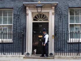 Larry the Downing Street cat outside the door of 10 Dowing Street, as Prime Minister Boris Johnson is discharged from hospital. Photo: PA