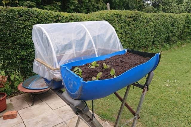 A recycled project by Anne McClure in Louth.