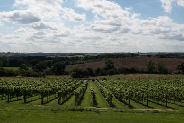 Ovens Farm vineyard is situated in the heart of the Lincolnshire Wolds in Harrington.