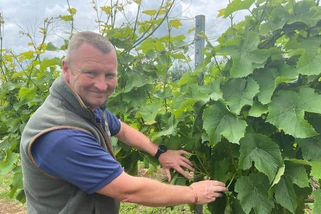 Simon White checking the 2020 crop.