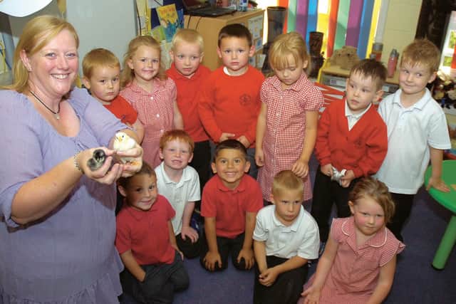 Staniland Nursery, in Boston, 10 years ago.