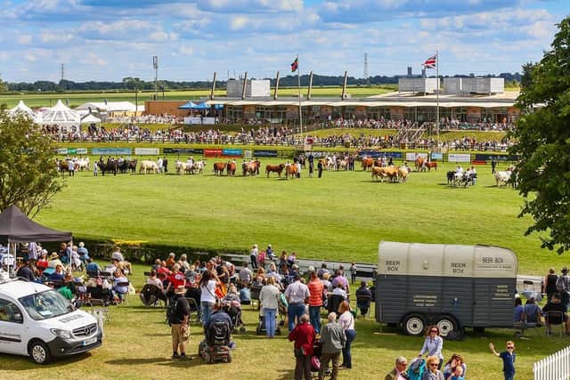 The Lincolnshire Show main ring - this year it had to be a virtual arena. EMN-200807-173411001