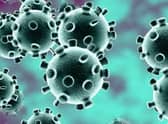 Coronavirus
