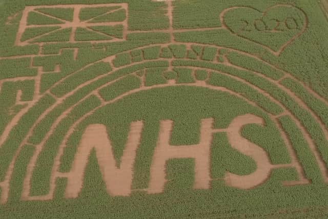 Maize Maze