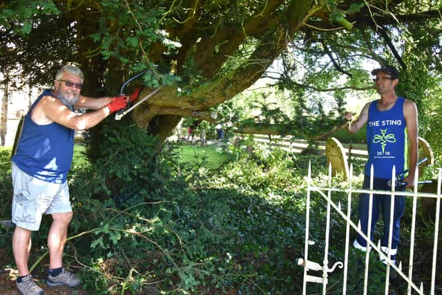 Getting to grips with some pruning. Picture John Edwards
