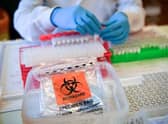Coronavirus update