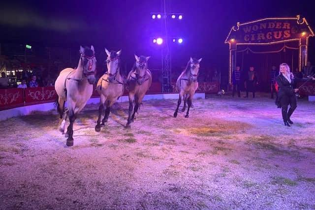 Wonder Circus owner Carolyn.Roberts with her fabulous horses.