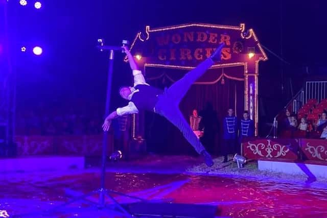 Artist shows amazing control on the pole.
