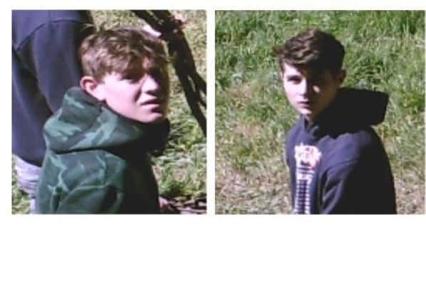 Do you recognise these youths?